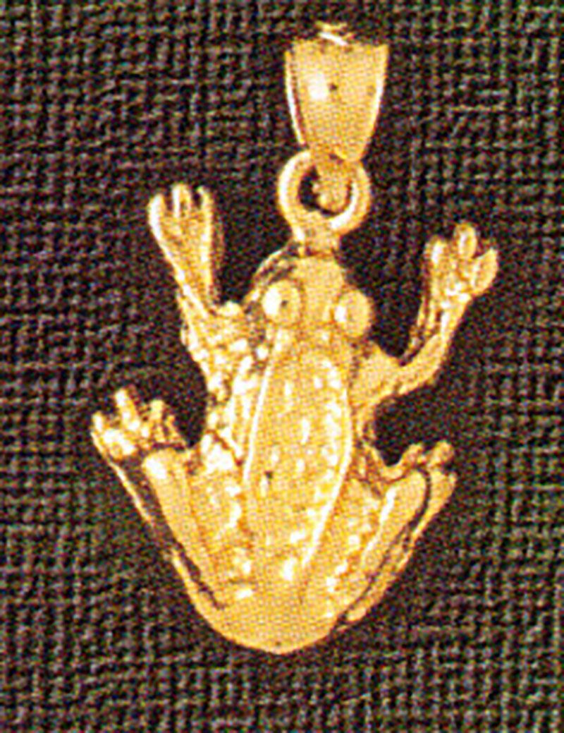Dazzlers Jewelry Frog Pendant Necklace Charm Bracelet in Yellow, White or Rose Gold 1590, MPN: DZ-1…