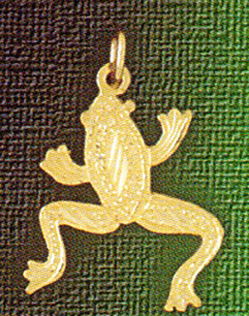 Dazzlers Jewelry Frog Pendant Necklace Charm Bracelet in Yellow, White or Rose Gold 1586, MPN: DZ-1…