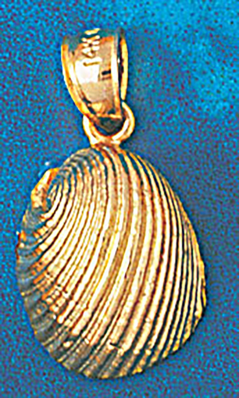Dazzlers Jewelry Seashell Shell Pendant Necklace Charm Bracelet in Yellow, White or Rose Gold 252, …