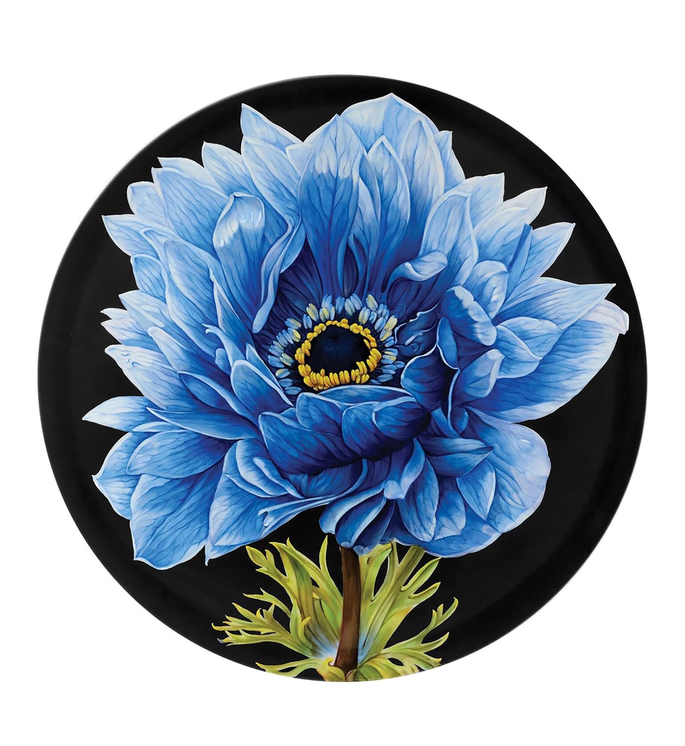 Vista Alegre Floris Va Plate Anemone, MPN: 21140042