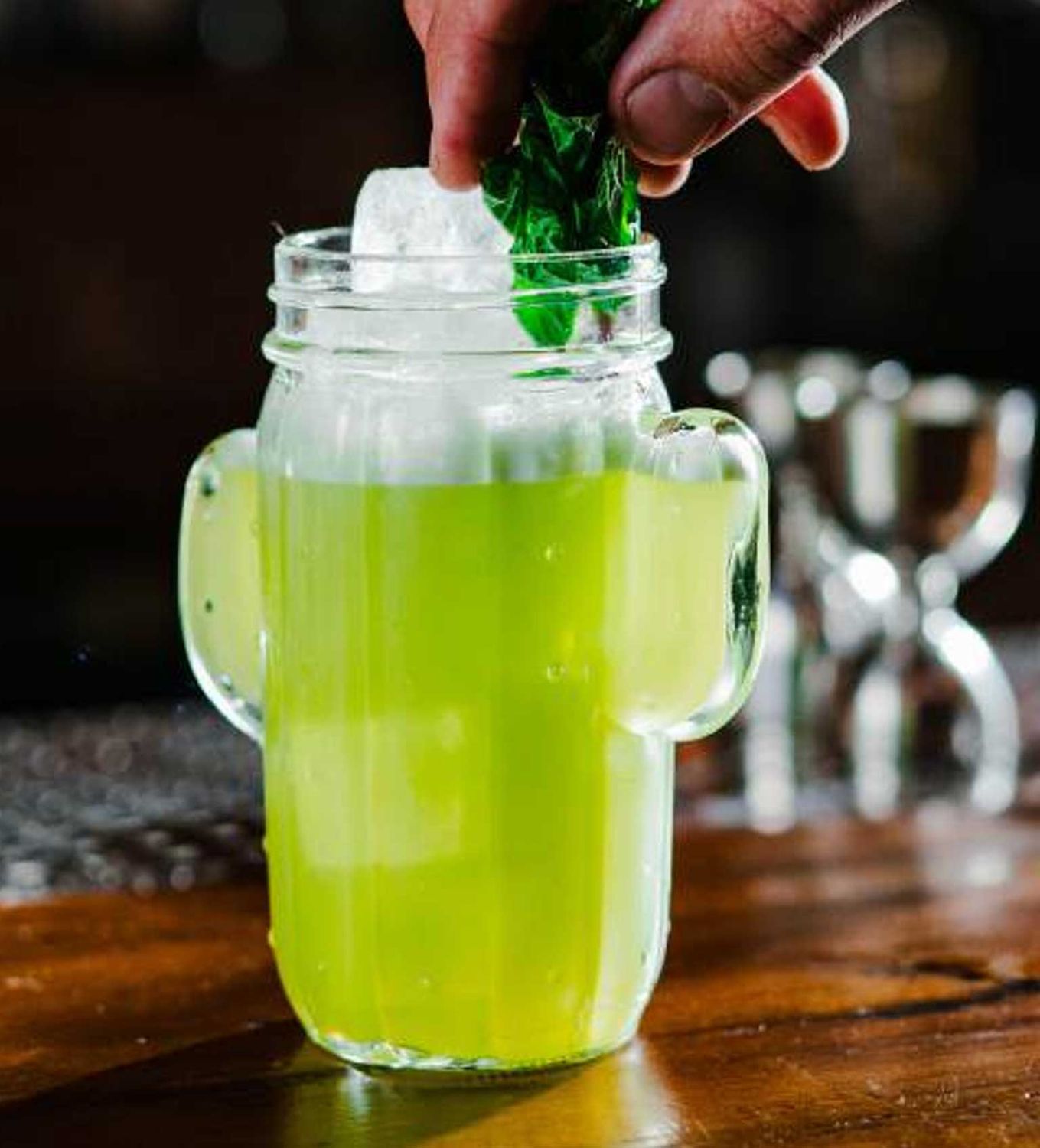 Bold Drinkware Cactus 14.5oz Jar Unbreakable Crystal , MPN: HG98014-006, UPC: