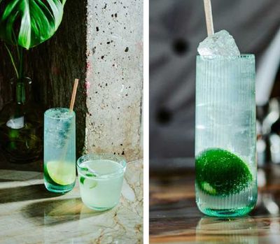 Bold Drinkware Eco Hawthorne 12.75oz Hi-Ball Unbreakable Crystal , MPN: HG90141-006, UPC: