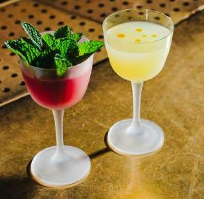 Bold Drinkware Blossom 5.25oz Nick &amp; Nora Unbreakable Crystal , MPN: HGF6425-004, UPC: