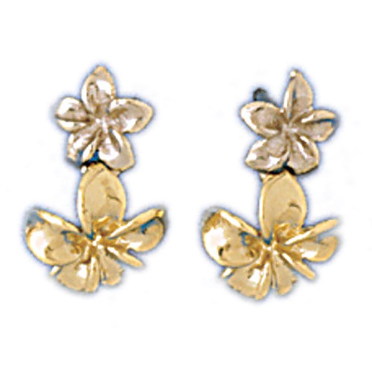 Dazzlers 14k Yellow Gold Plumeria Flower Drop Earrings, MPN: DZ-12922
