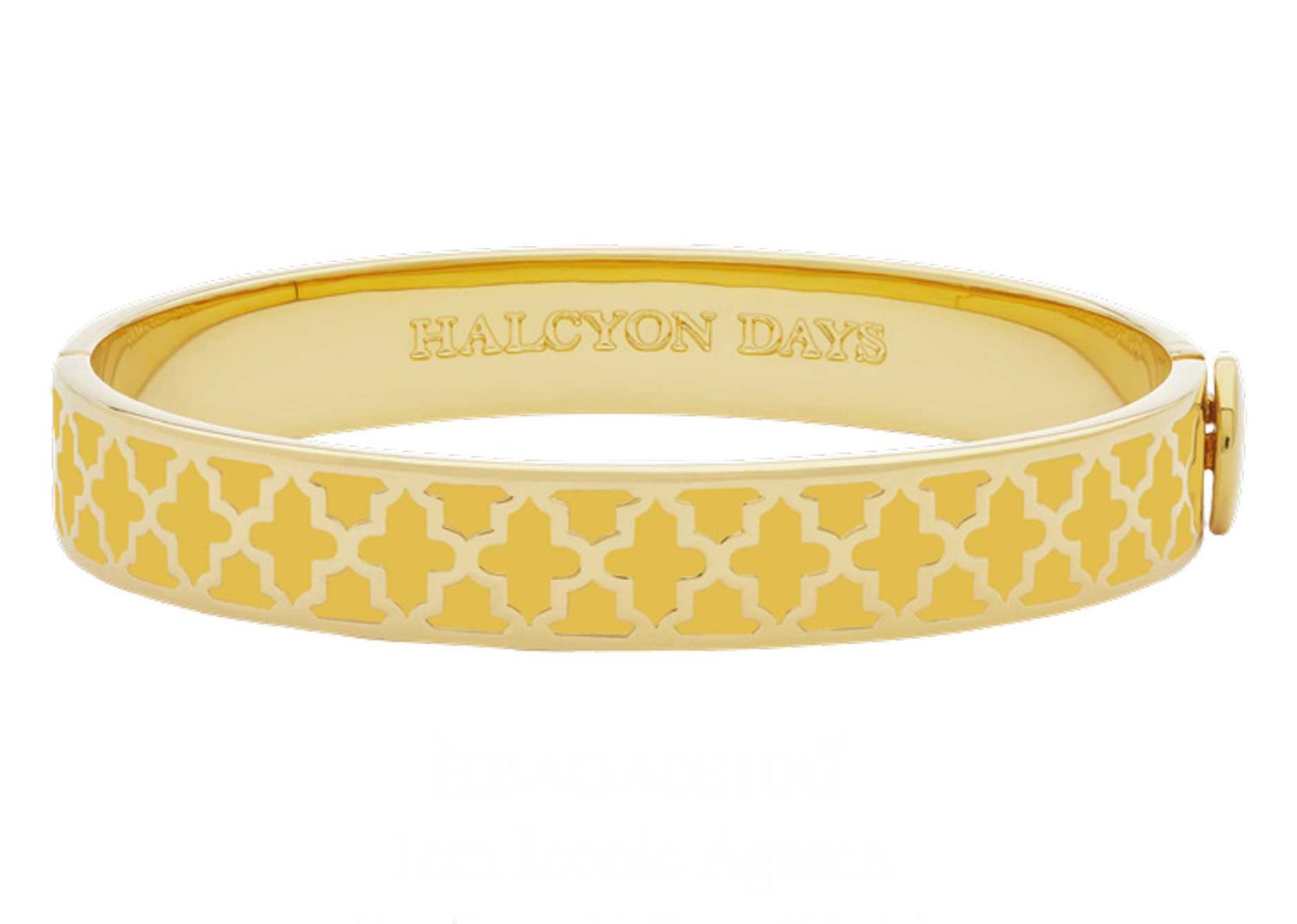 Halcyon Days 1cm Agama Radiant Yellow Gold Hinged Bangle HBAGA0810G, 5055273111002