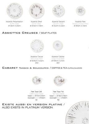 Haviland Nova Platinum Dinner Plate HP1510001002