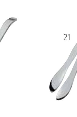 Amefa Buffet Snail Tongs Stainless Steel Satin Mirror 131900B000260, 8711155072409