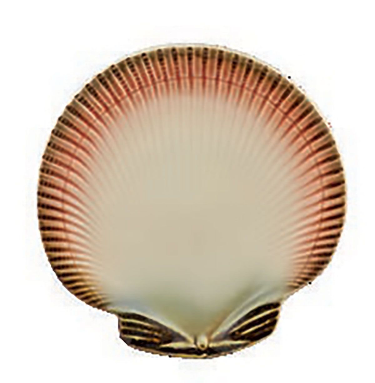 Bordallo Pinheiro Oysters &amp; Scallops Dessert Plate 65033055, 5600413639177