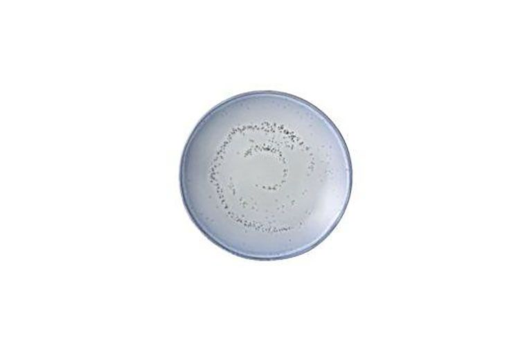 Casa Alegre Lagoon Soup Plate 23cm 9 inch 37004613, 5605414017986
