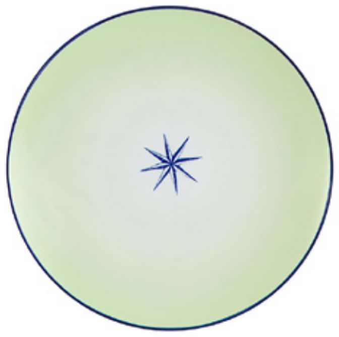 Casa Alegre Tropica Dinner Plate 21136993, 5605414064225