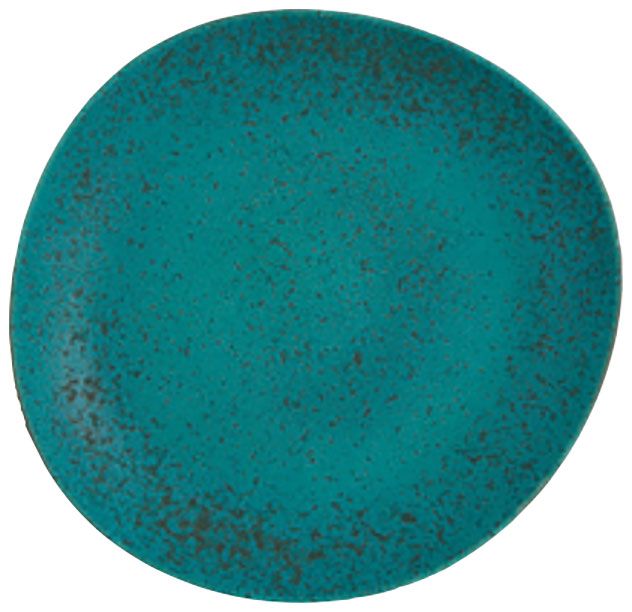 Casa Alegre Sauvage Pasta Plate 28cm 11 inch 37003595