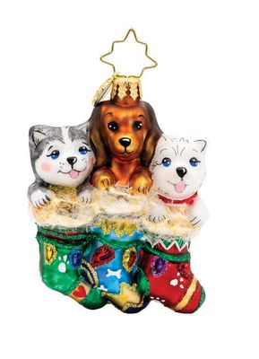 Christopher Radko Puppy Presents Gem Ornament 1022215, 026301937388