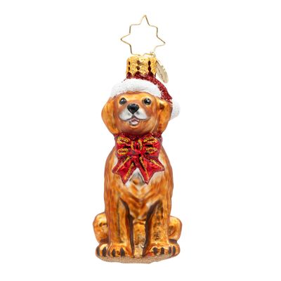 Christopher Radko Golden Paws Pal Gem Ornament 1022716, 026301944935
