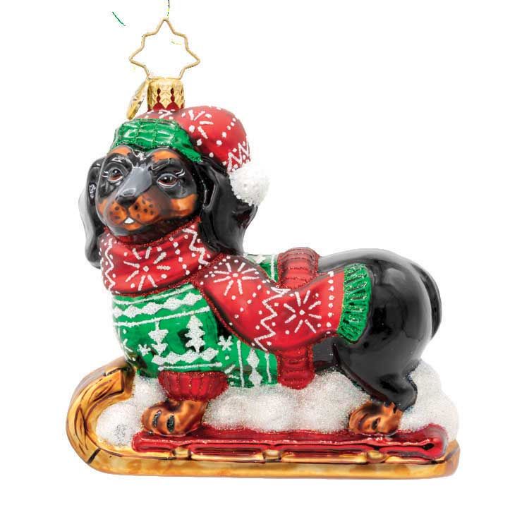 Christopher Radko Dapper Dachshund Ornament 1022158, 026301935247