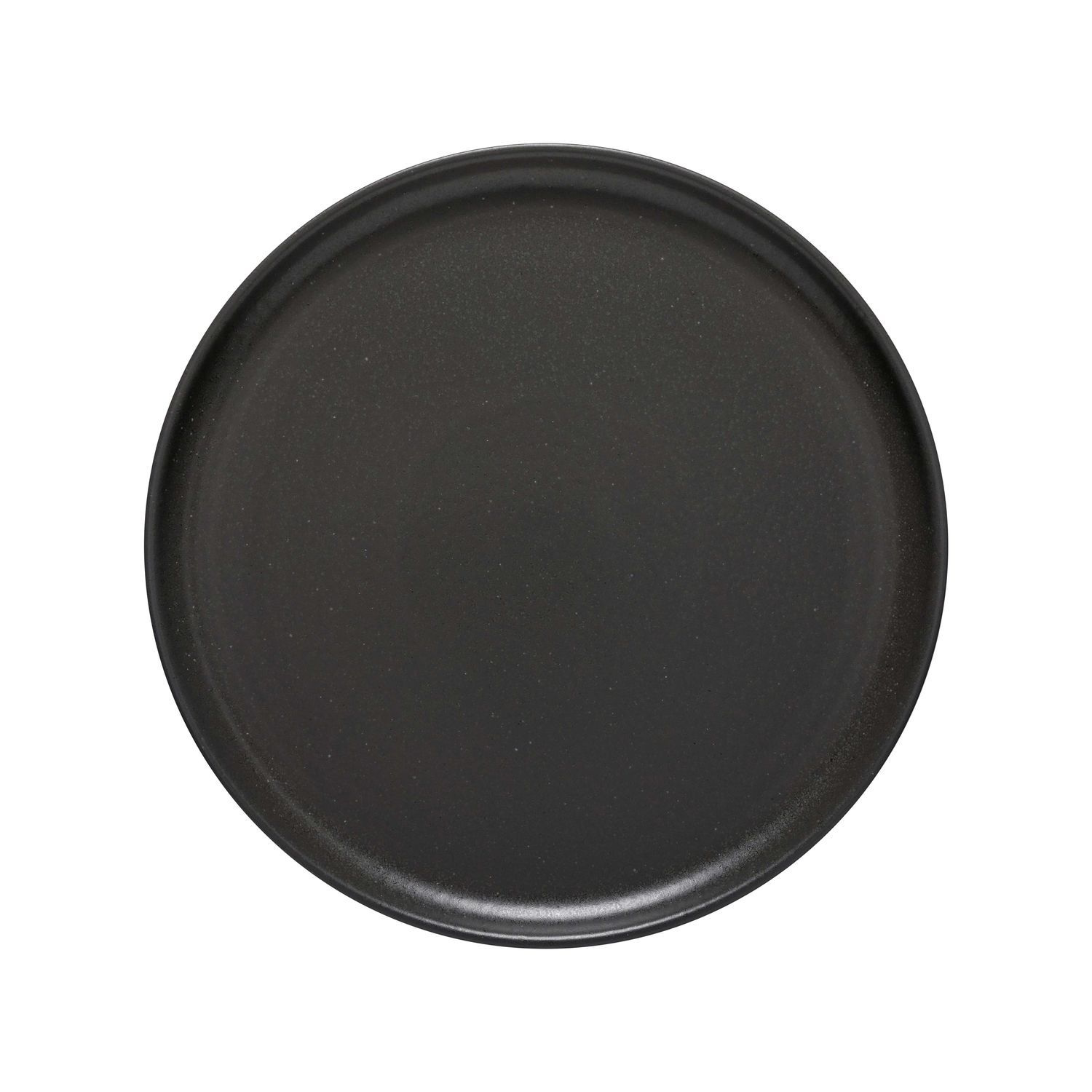 Casafina Pacifica Seed Grey Round Plate &amp; Charger 13 inch SOP321-SEE, 5606739825546