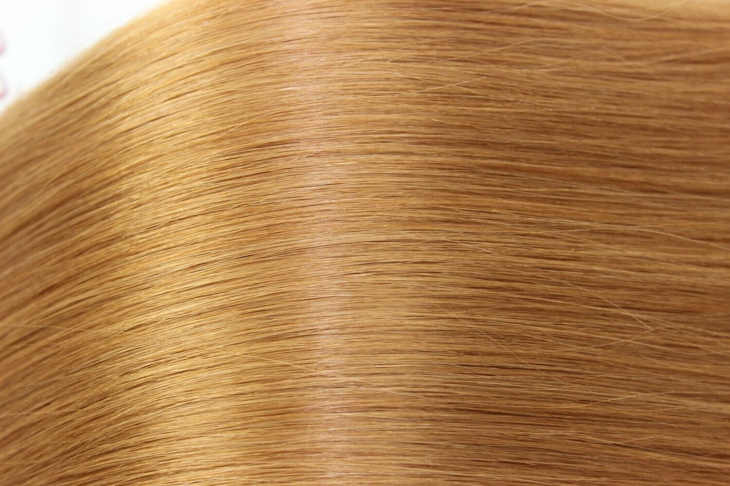 # 29 WEFT