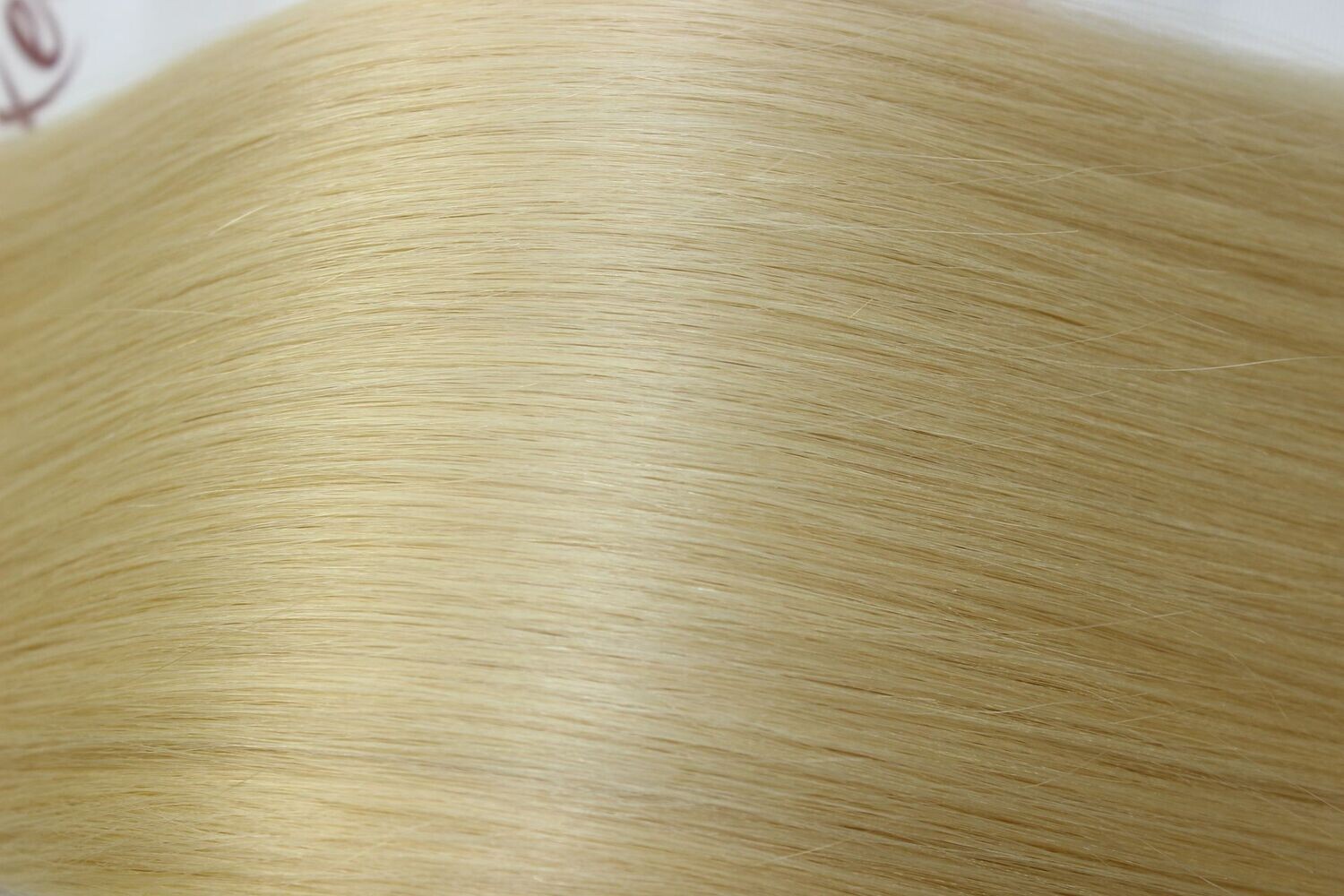 # 22 WEFT