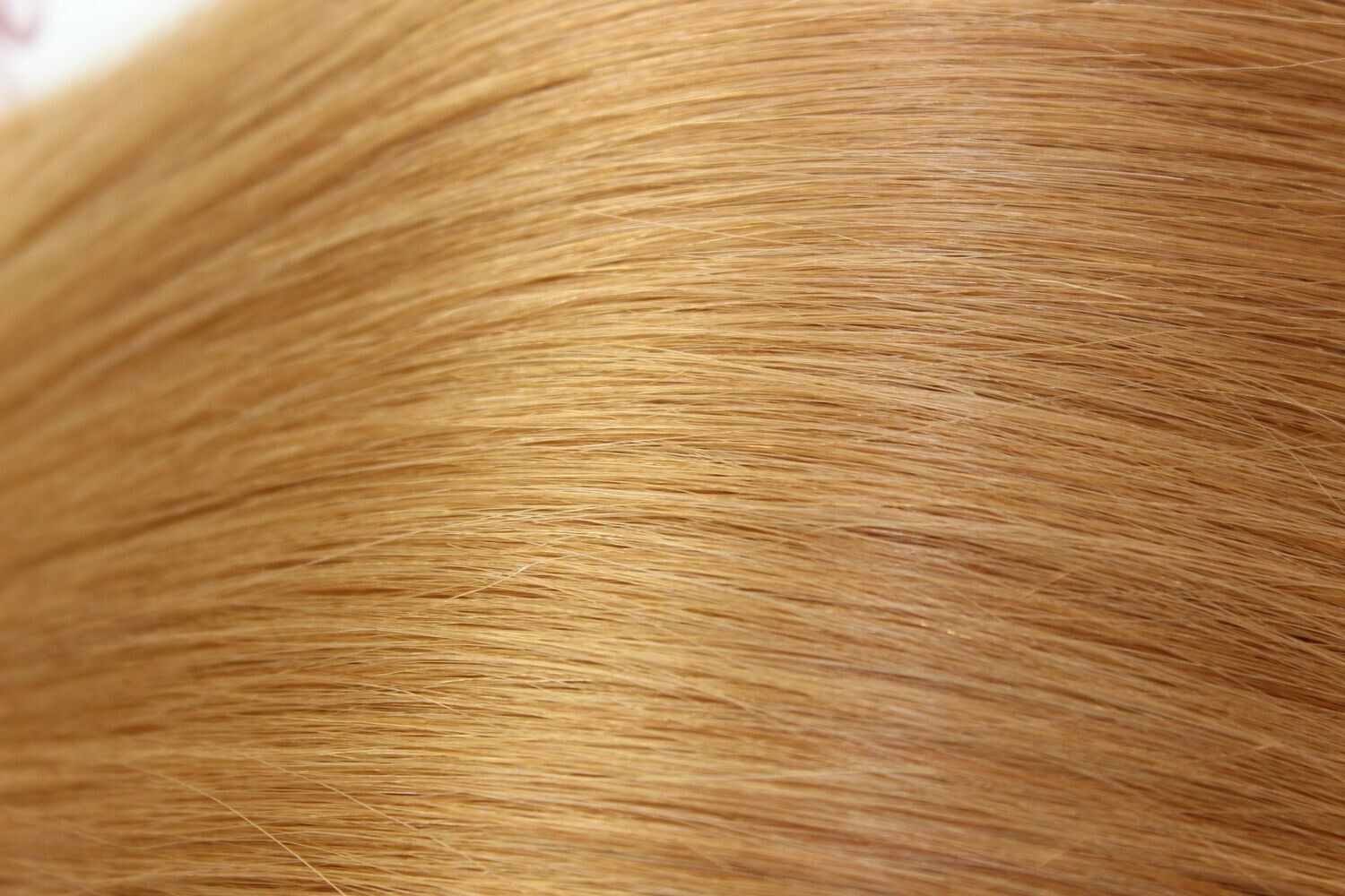 # 12 WEFT