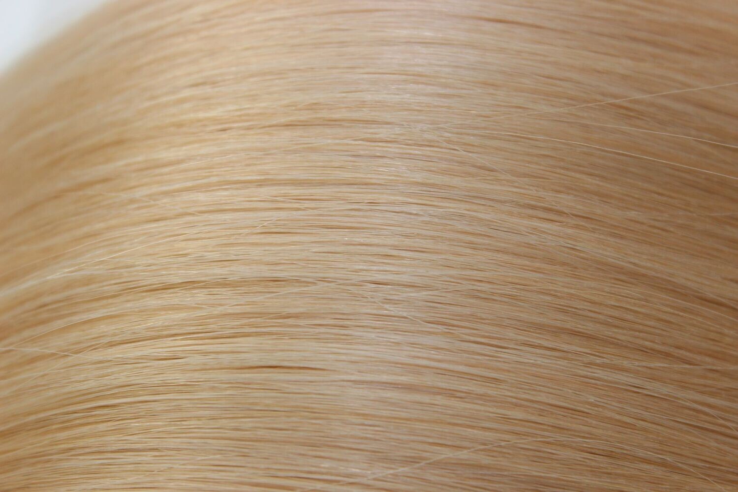 # 24 WEFT