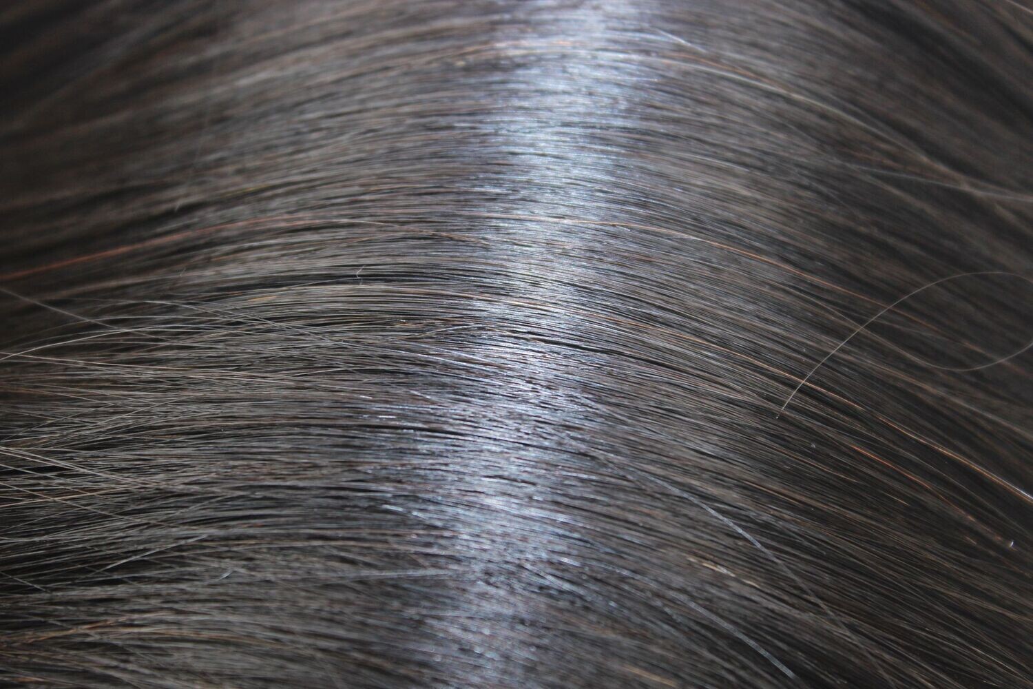 PONYTAIL - 1B
