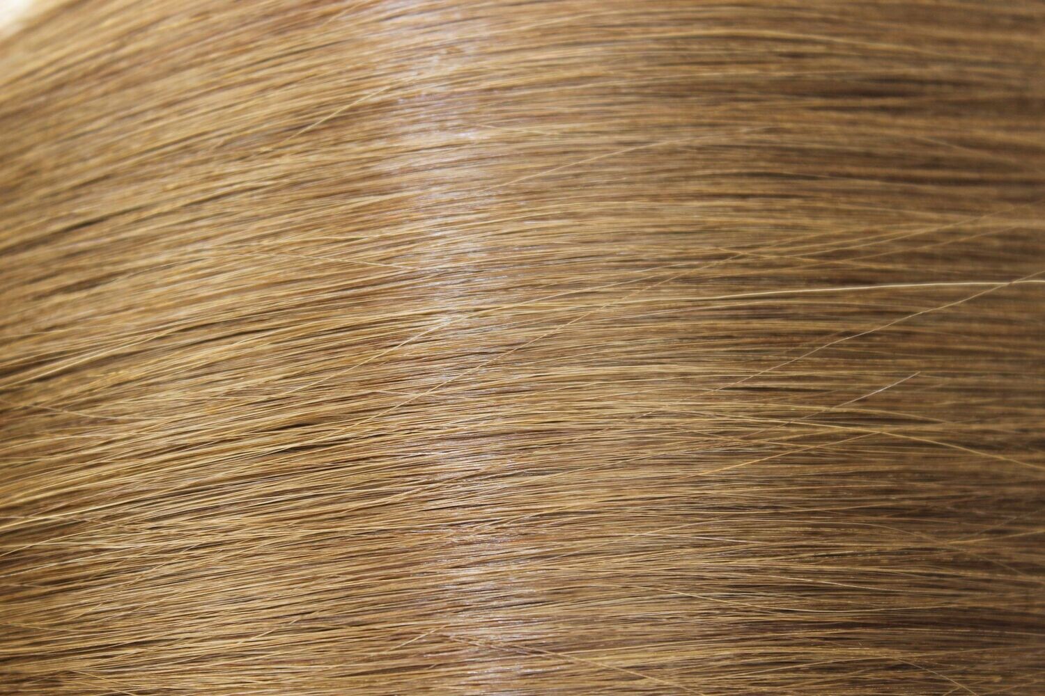 # 4 WEFT