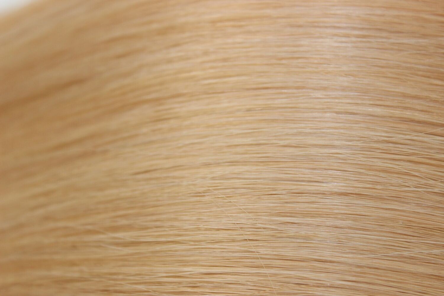 # 27 WEFT