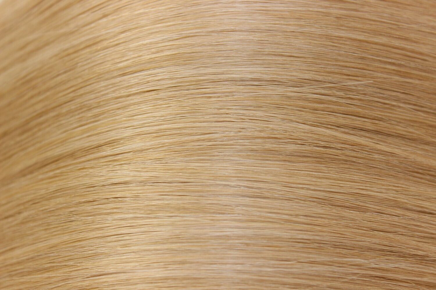 # 14 WEFT