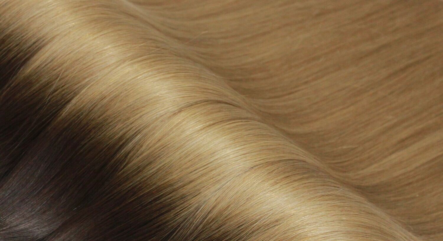 # T-2/8  WEFT