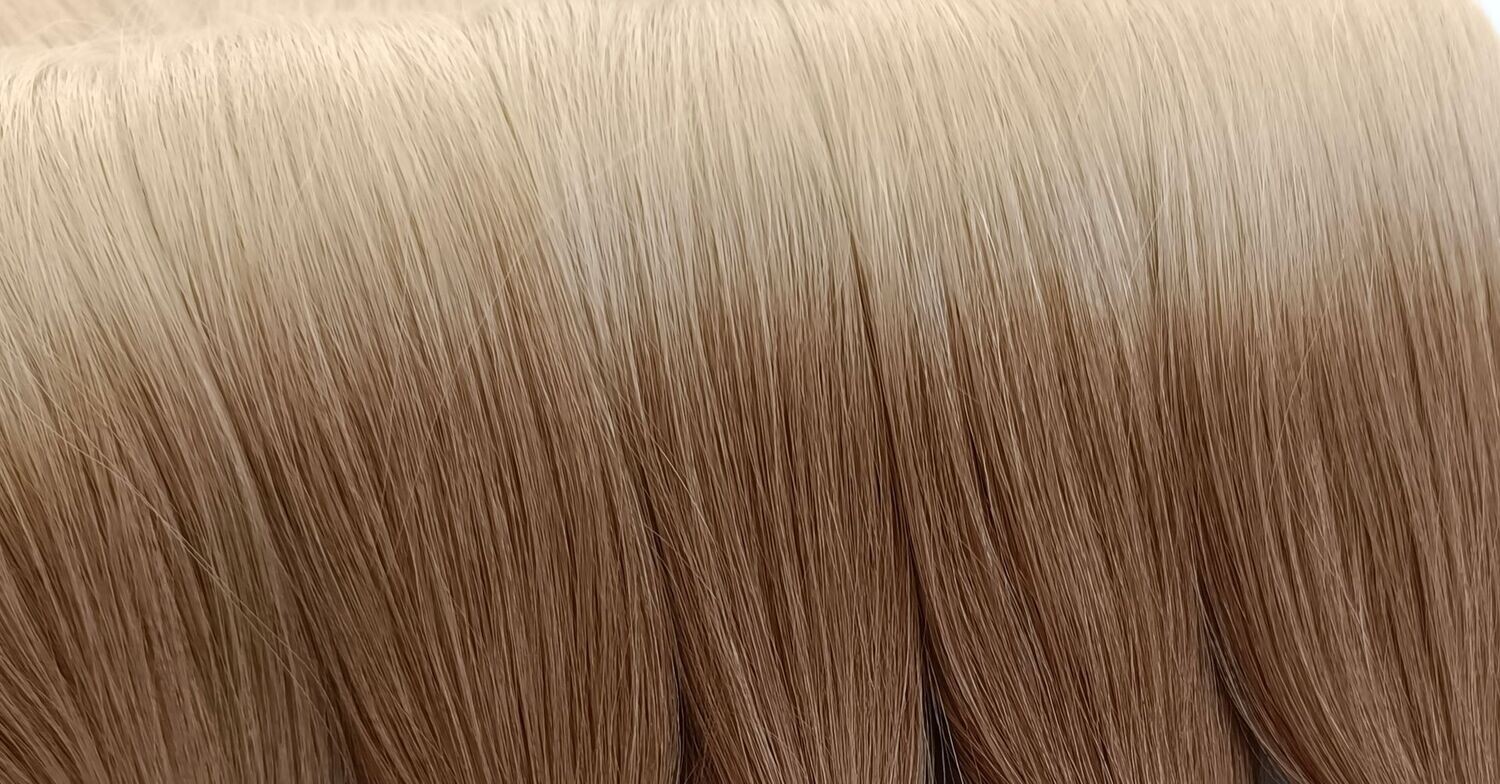 # T-8/613 WEFT