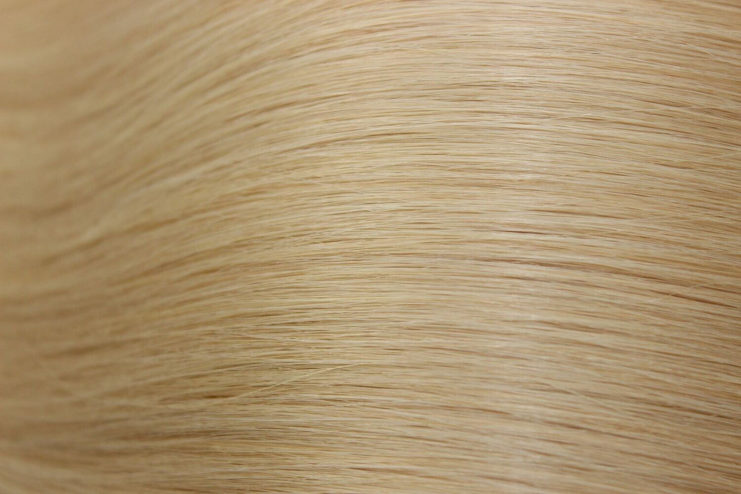 # 18B PONYTAIL