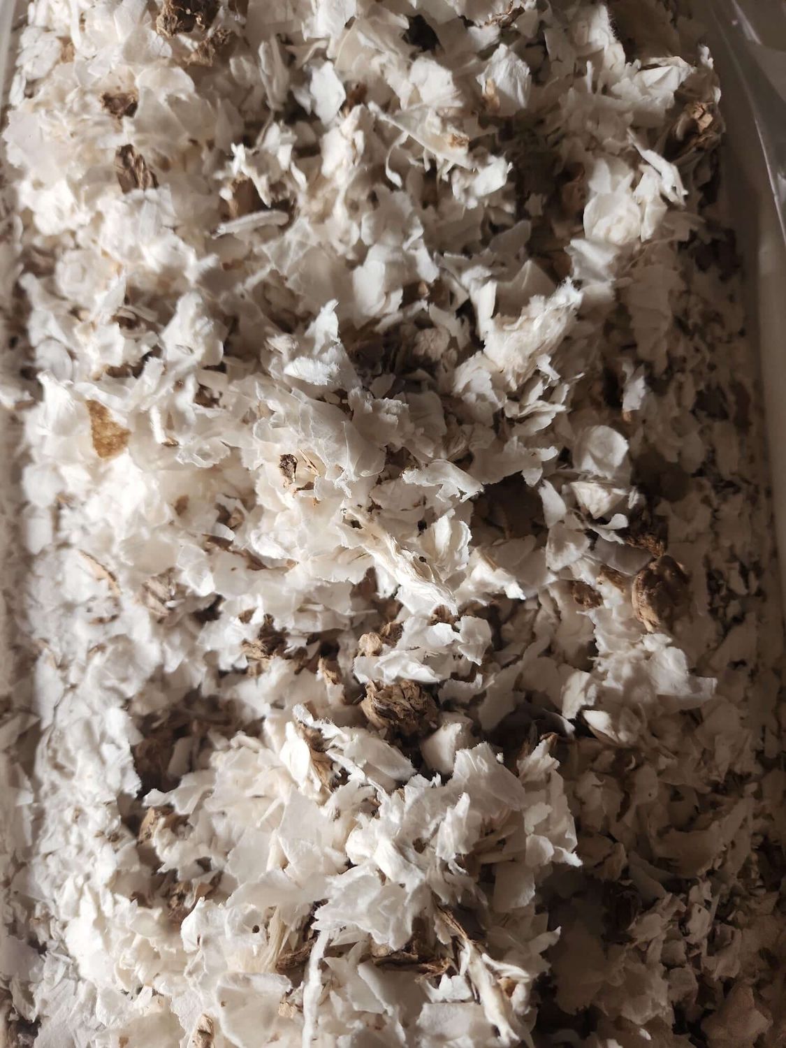 Soft 2.8 cu.ft Paper Shavings Bedding