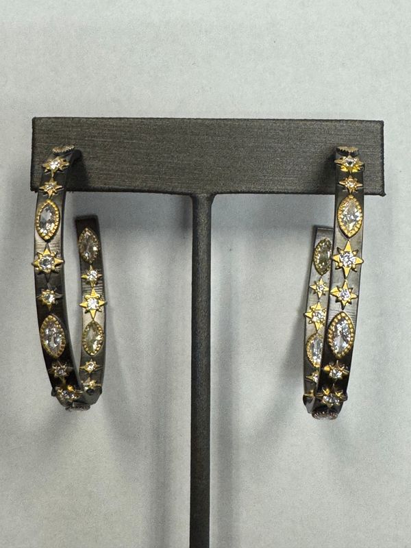 Earrings 7699E