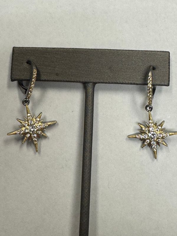 Earrings 7996E