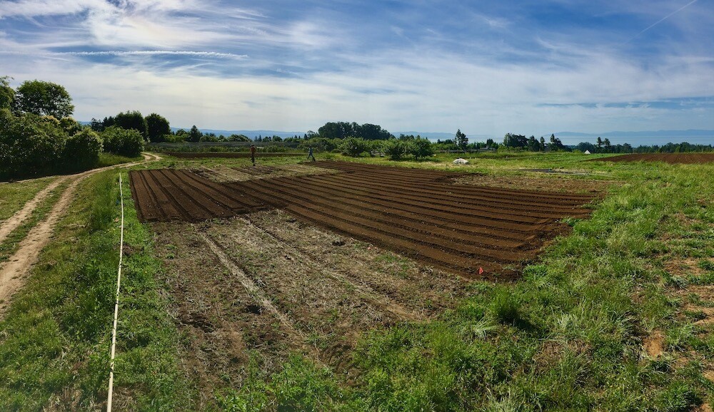 Research Findings on No-Till at the UCSC Farm