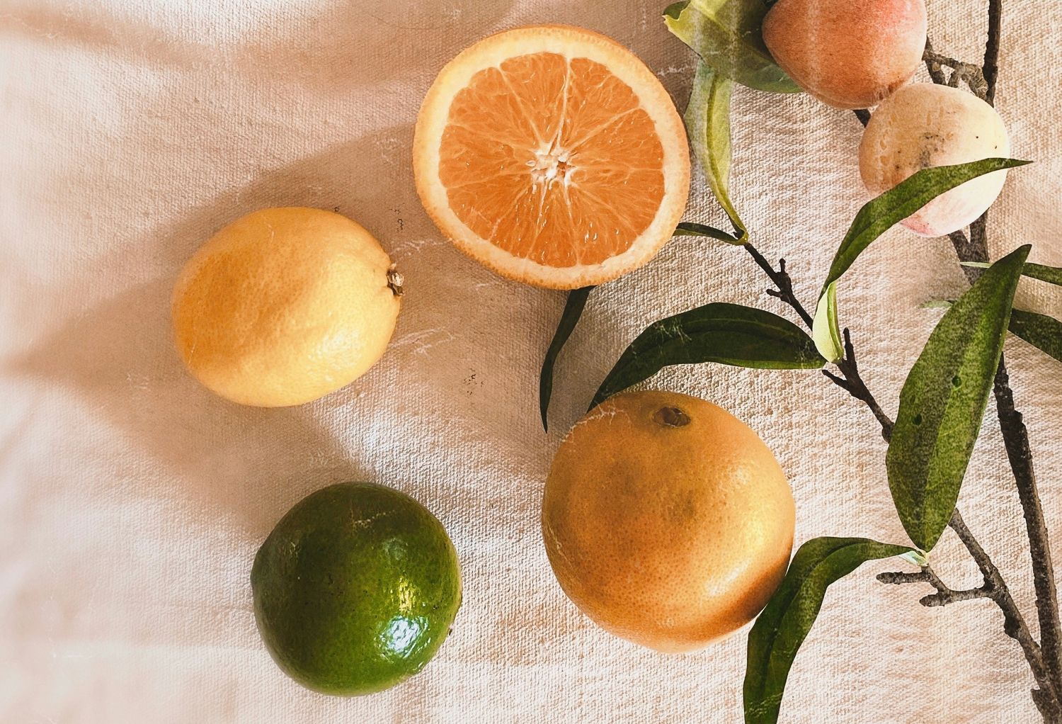 Backyard Series: Growing Citrus