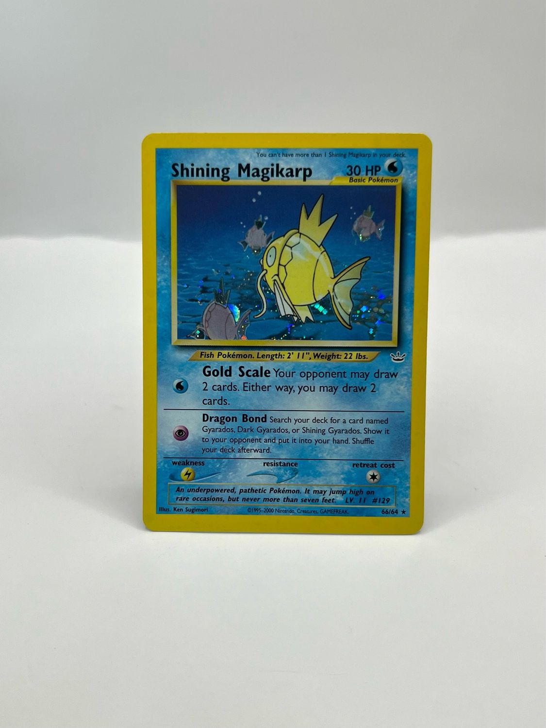 66/64 Shining Magikarp Near Mint Holo