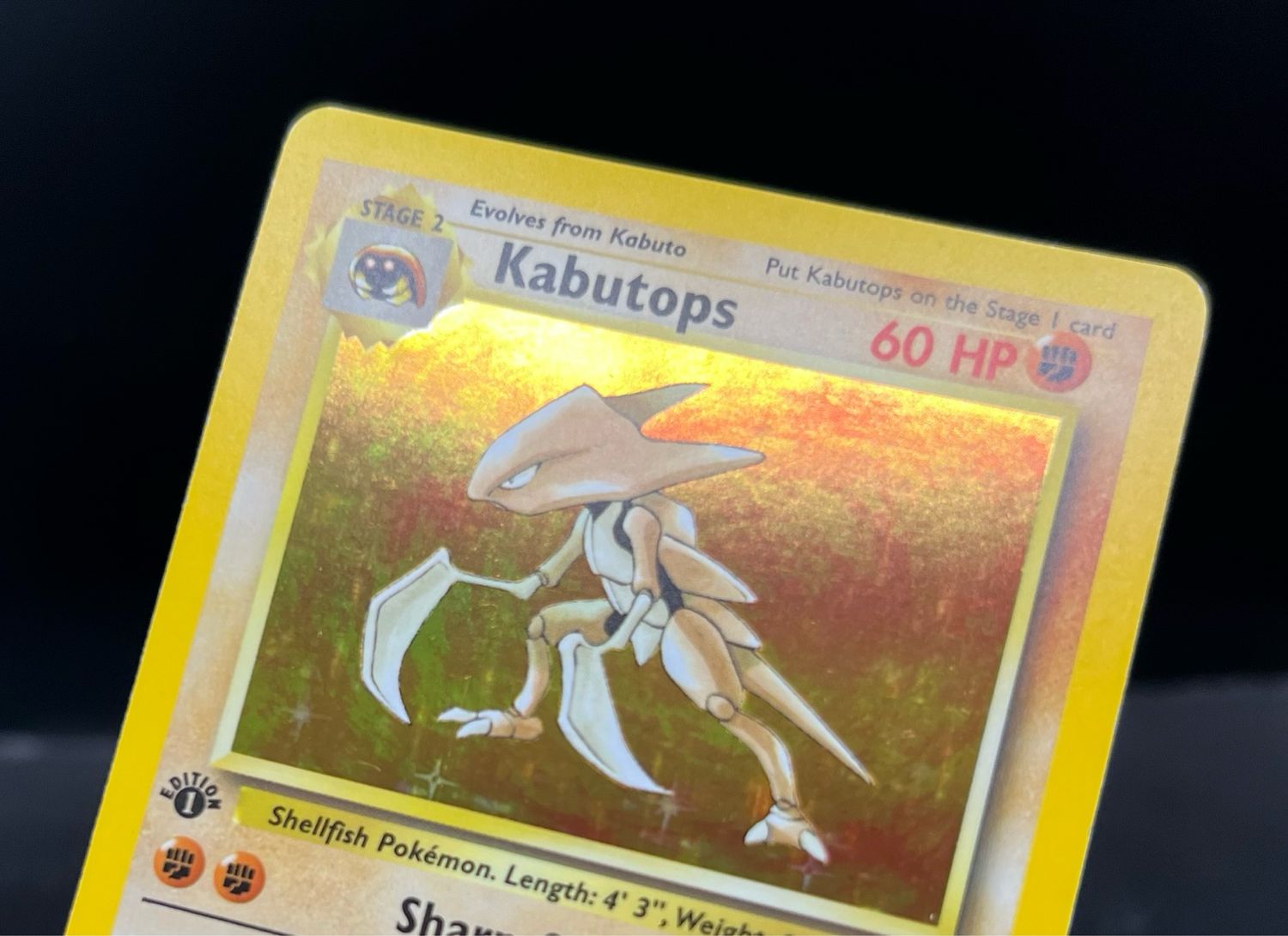 KABUTOPS HOLO 9/110 カブトプス 英語版 ポケットモンスター PSA 9