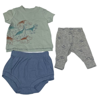 Conjunto Bebé Niño Dinosaurios