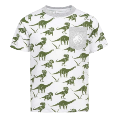 Grey Dinasour tshirt