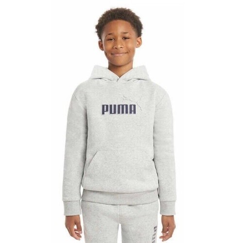 Hoodie Puma Gris