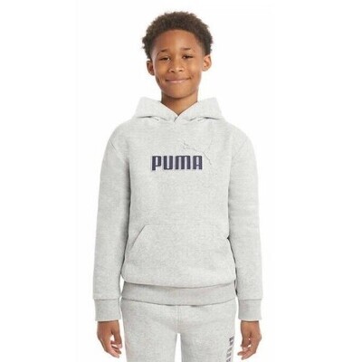 Hoodie Puma Gris