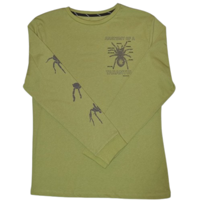 Spiders Tshirt