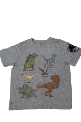 Tshirt Dinosour niño