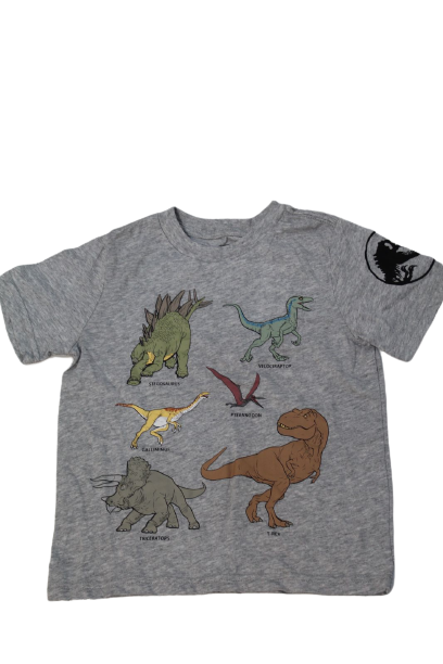 Tshirt Dinosour niño