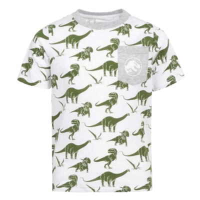 Grey Dinasour tshirt