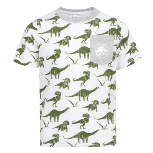 Grey Dinasour tshirt