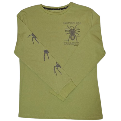 Spiders Tshirt