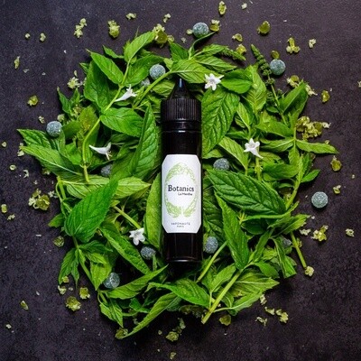La Menthe BOTANICS by Vaponaute 50ml