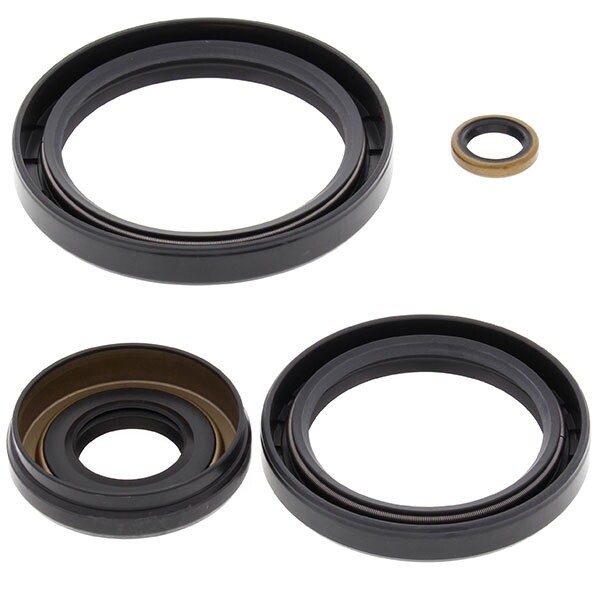 ALL BALLS DIFFERENTIAL SEAL KIT 25-2066-5