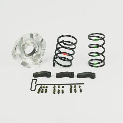PRECISION EFI CLUTCH RAMPS - HELIX CAM &amp; SPRINGS - SIDEWINDER